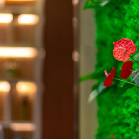 Ramada Encore By Wyndham Guangzhou Panyu 外观 照片